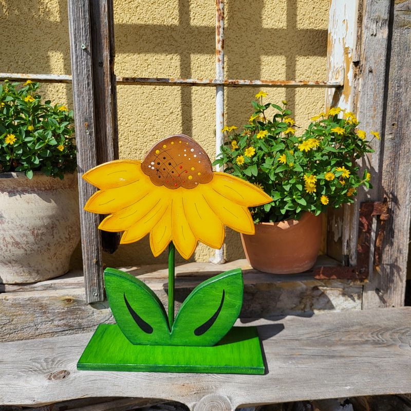 Großes SonnenBlümchen * gefiedert