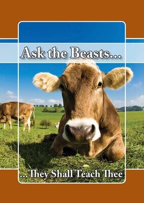 Ask the Beasts...
