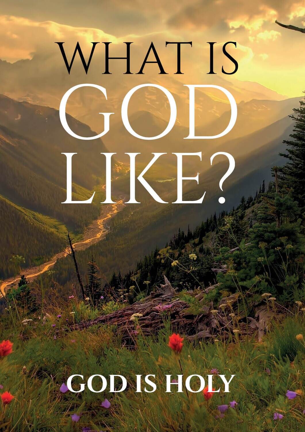 What is God Like?