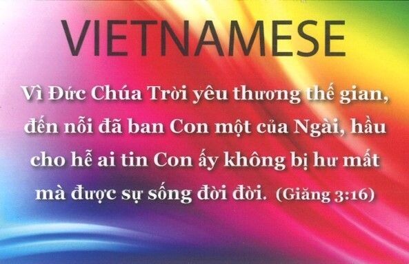 Vietnamese