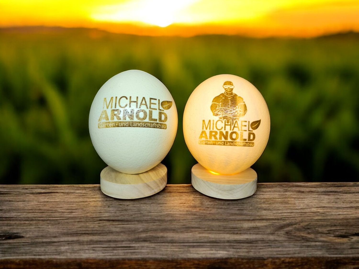 Straußenei Lampe, personalisierbar