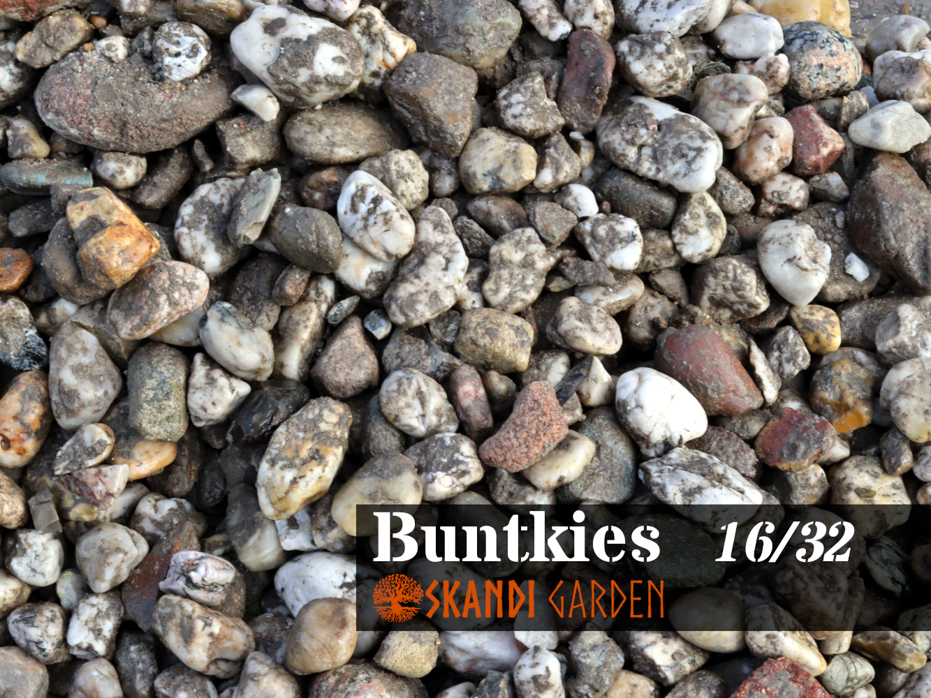 Buntkies, 3 Größen