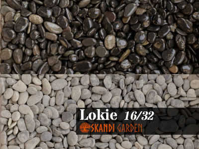 Flusskies "Lokie"