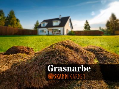Grasnarbe - loses Entsorgungsgut