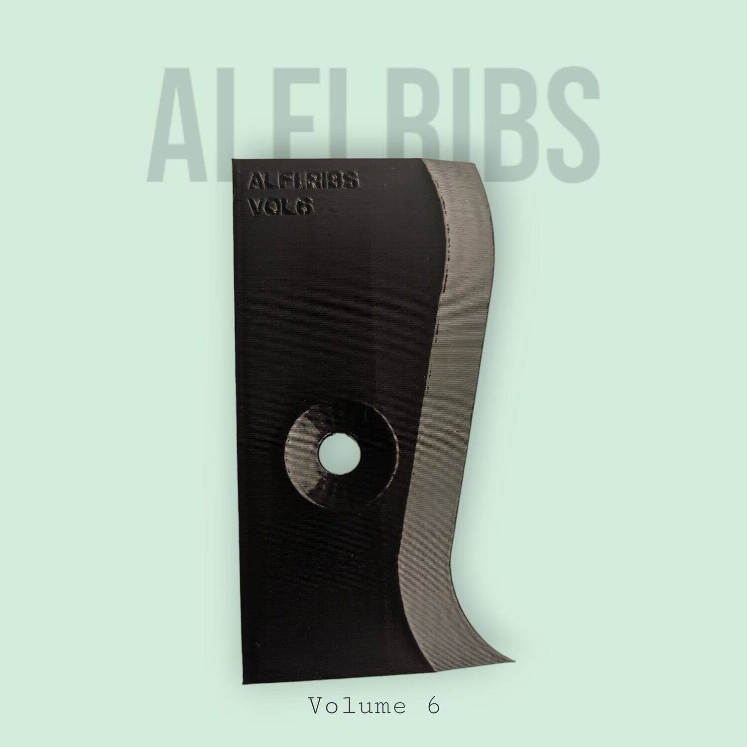 RIB Volume6