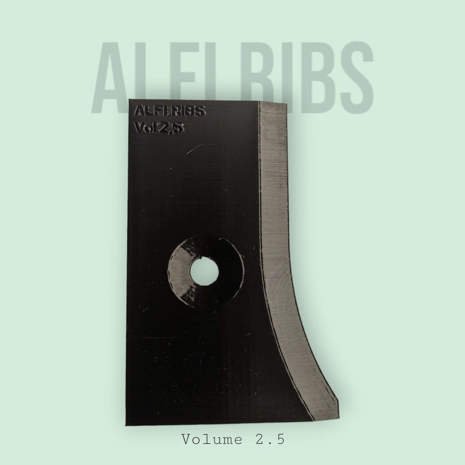 RIB Volume2.5