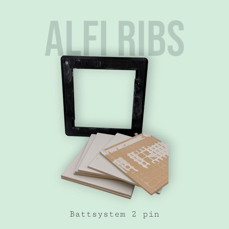 Battsystem 2 Pin