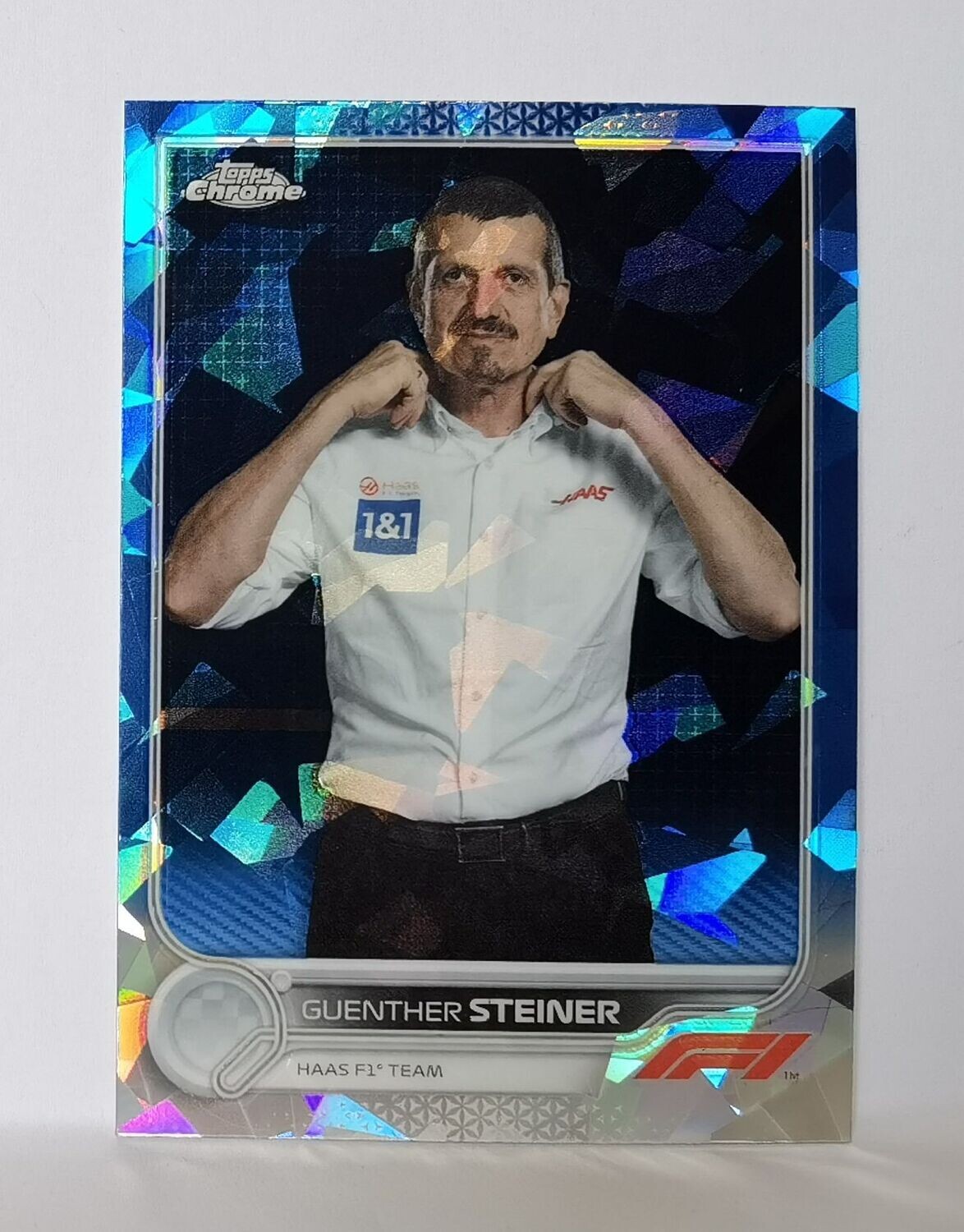 108 Guenther Steiner