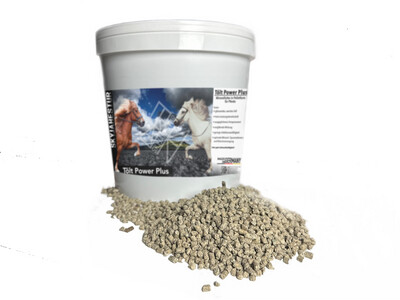 Mineralfutter Mineralfutter "Tölt Power Plus"