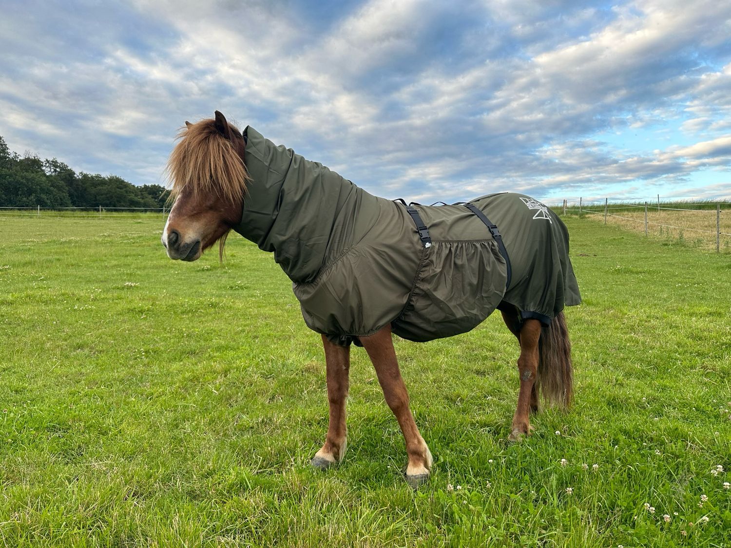 Ekzemdecke „classic“