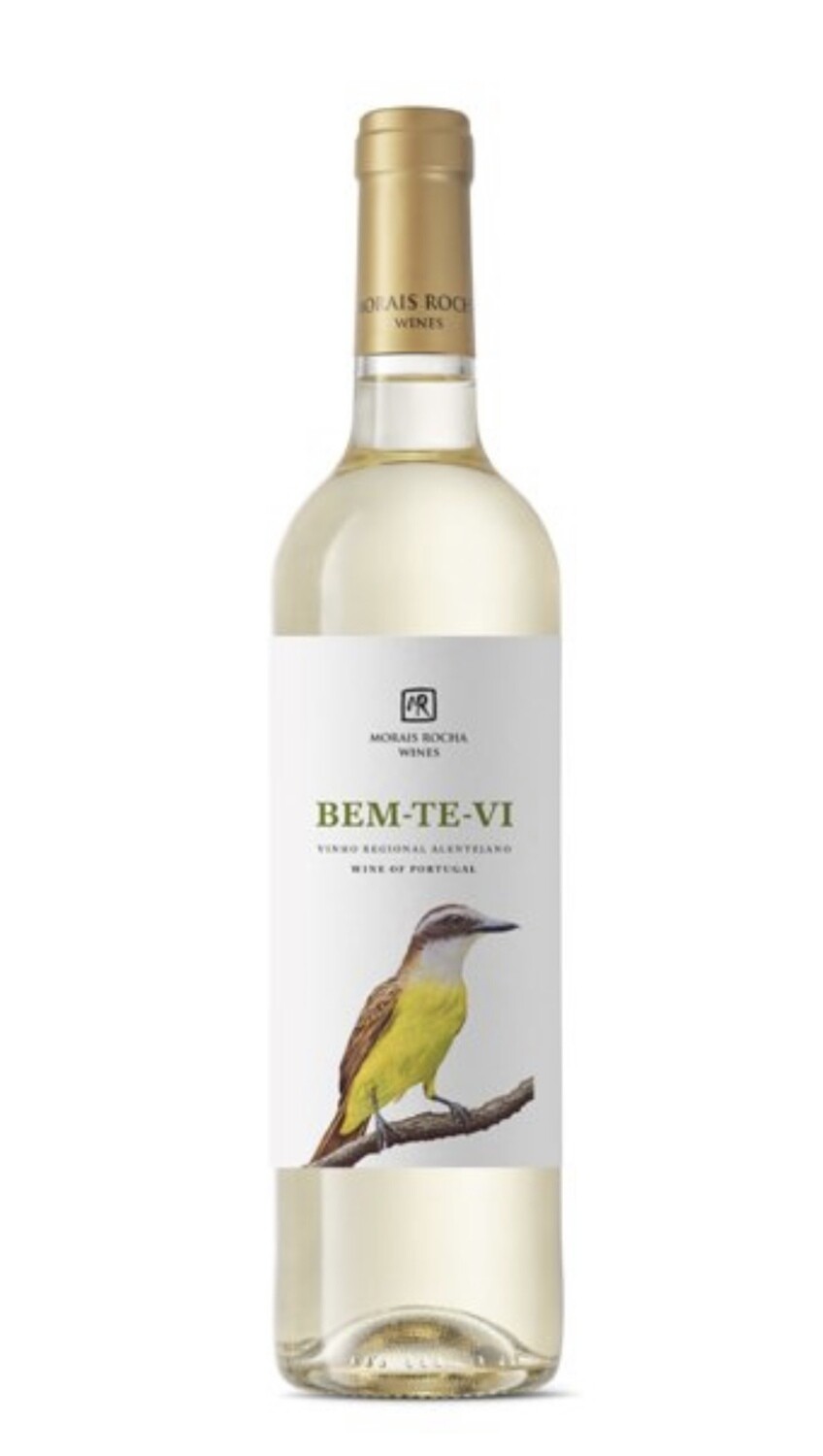 Bem-Te-Vi Branco