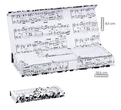 NOTAS ADHESIVAS MÚSICA CAJA IMANTADA NOTAS MUSICALES 
