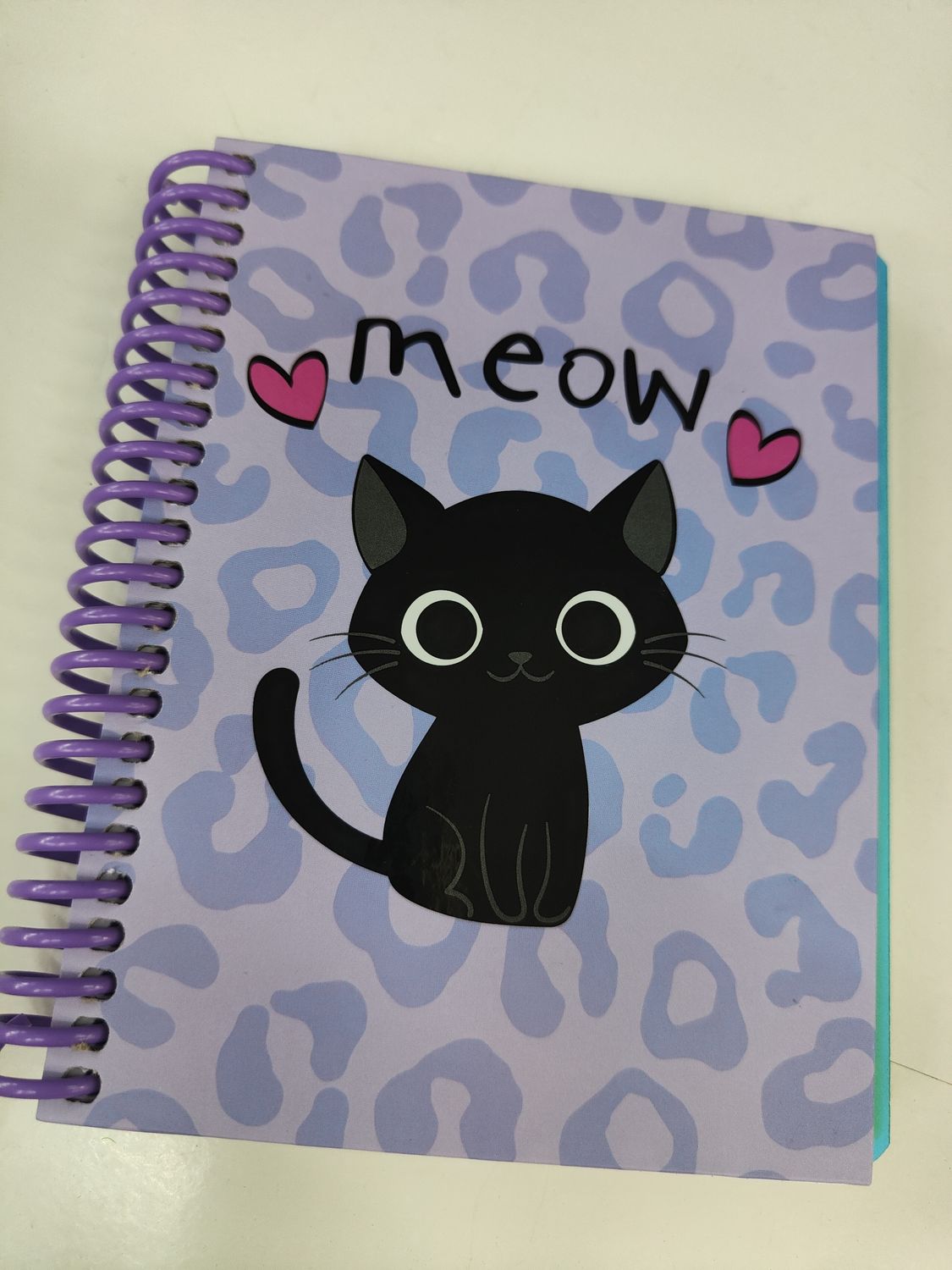 CUADERNO GATOS espiral A6 120hj.2 sep. Tapa dura SENFORT CATS