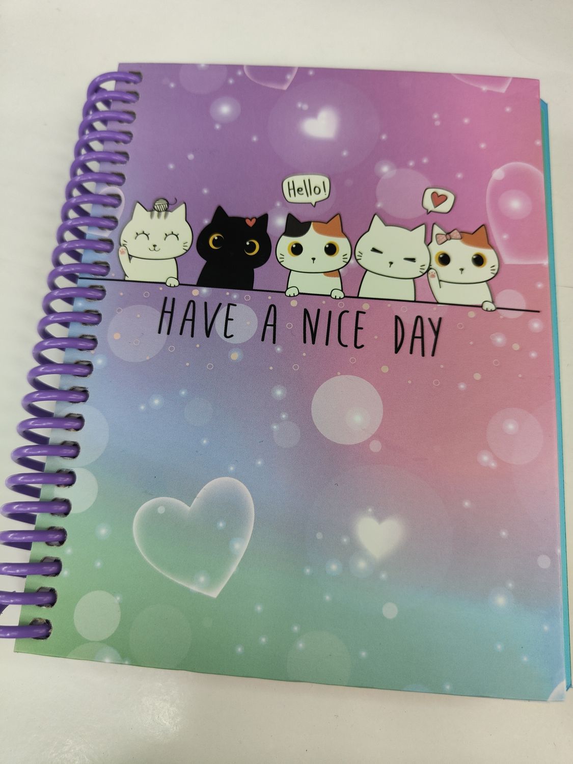 CUADERNO GATOS ESPIRAL A6 120 hj. 2 sep tapa dura SENFORT CATS 