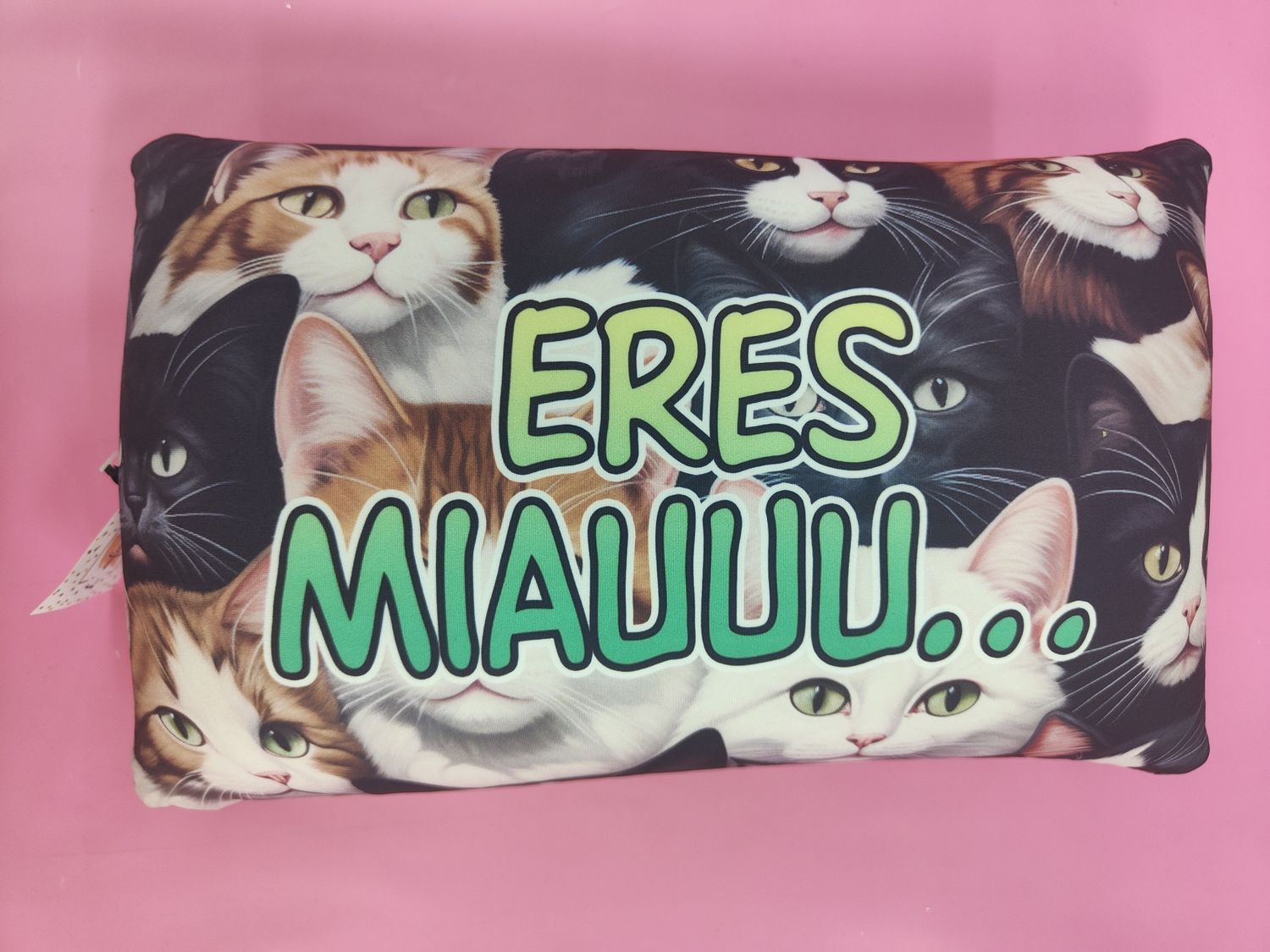 COJÍN GATOS ERES MIAUUU PEQUEÑO 