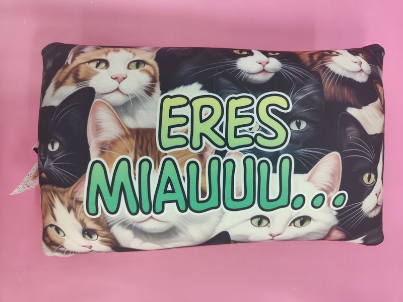 COJÍN GATOS ERES MIAUUU PEQUEÑO 
