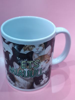 TASSA GATS ETS MIAUUU... EN CATALÀ TASSA GATS ETS MIAUUU... EN CATALÀ