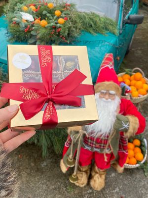 Weihnachtsedition „Gold & Winterzauber” – Pralinen-Set (3 Sorten, sofort versandbereit)