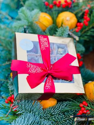 Winter Selection – Golden Delight (3 Sorten, sofort versandbereit)