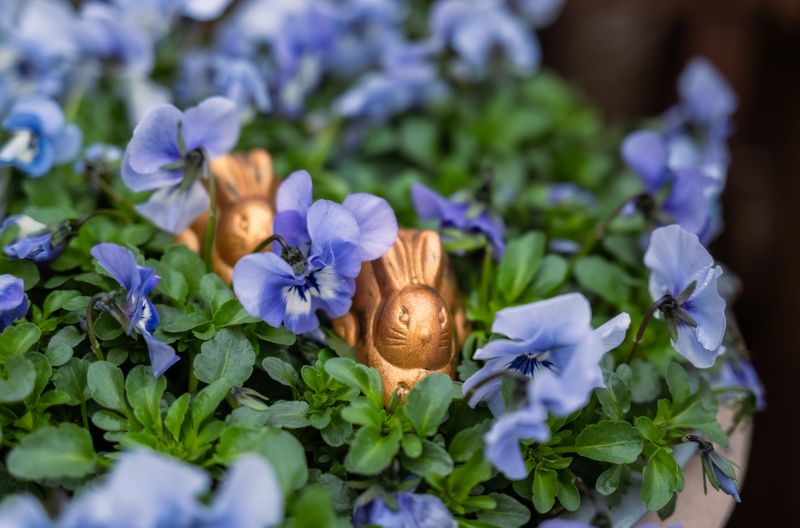 Ostergeschenke, die wirklich Freude machen