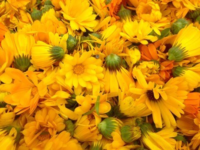 Calendula Hydrosol – 2023 product Calendula Hydrosol – 2023 product
