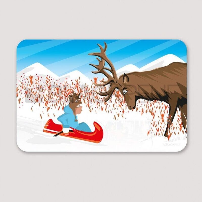 Rencontre avec un cerf
