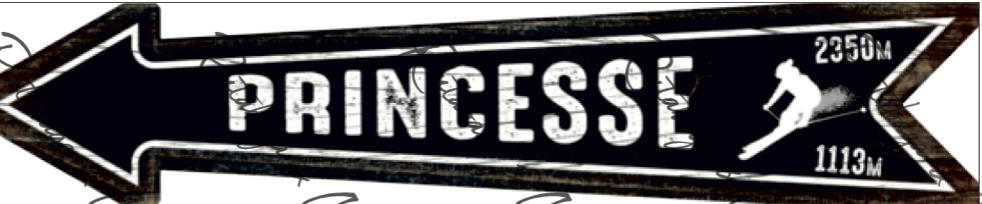 Flèche La Princesse