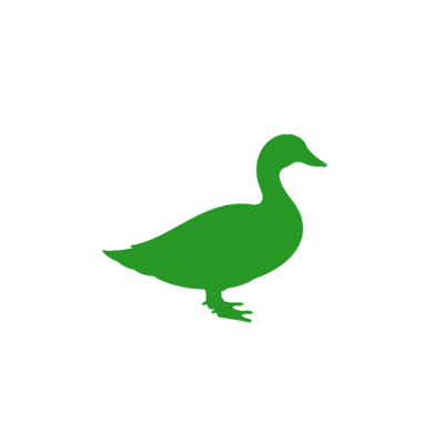 Ente