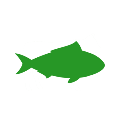 Fisch