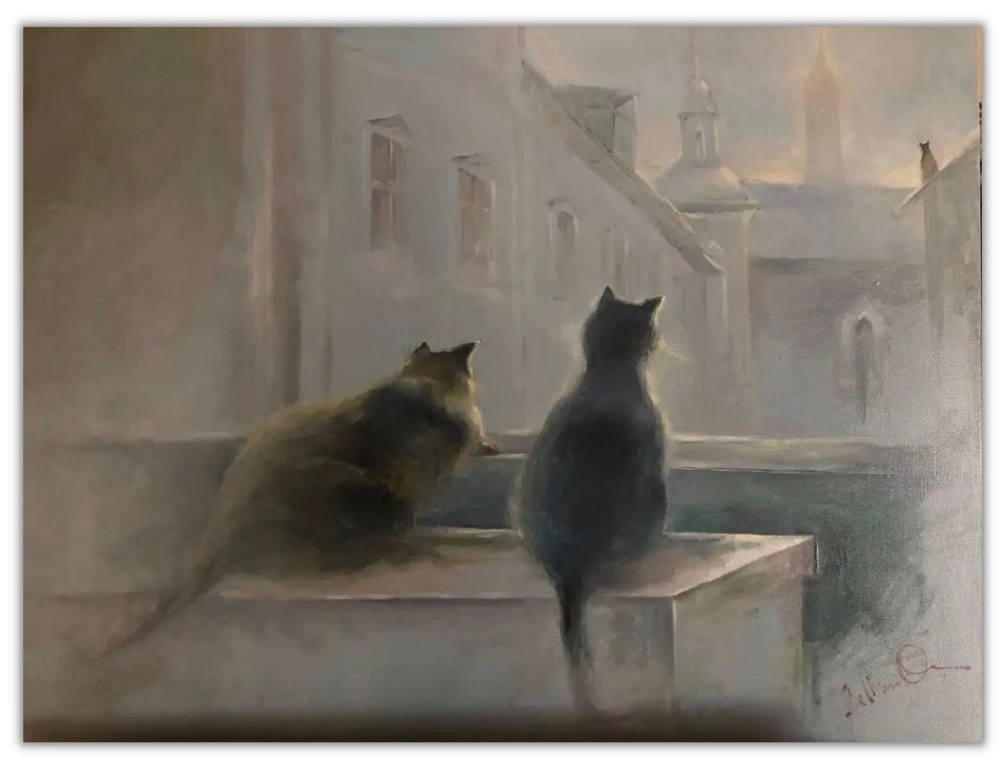 Cats from ST. Petersburg