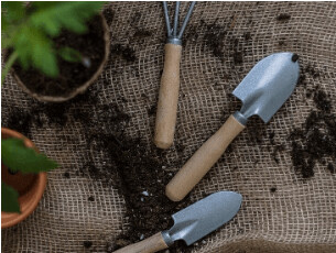 Jardin Potager