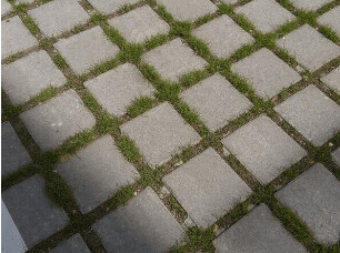 Parking et Gazon