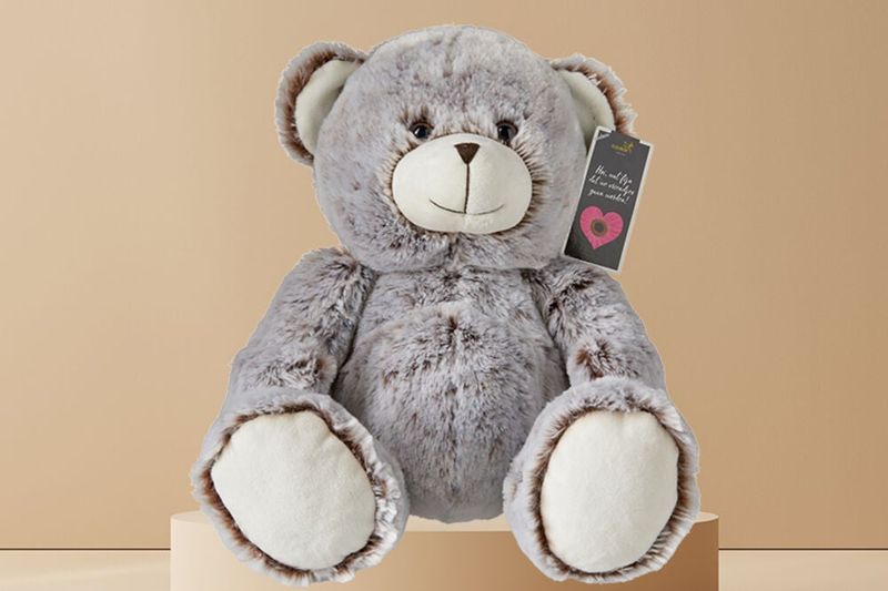 Grote knuffelbeer