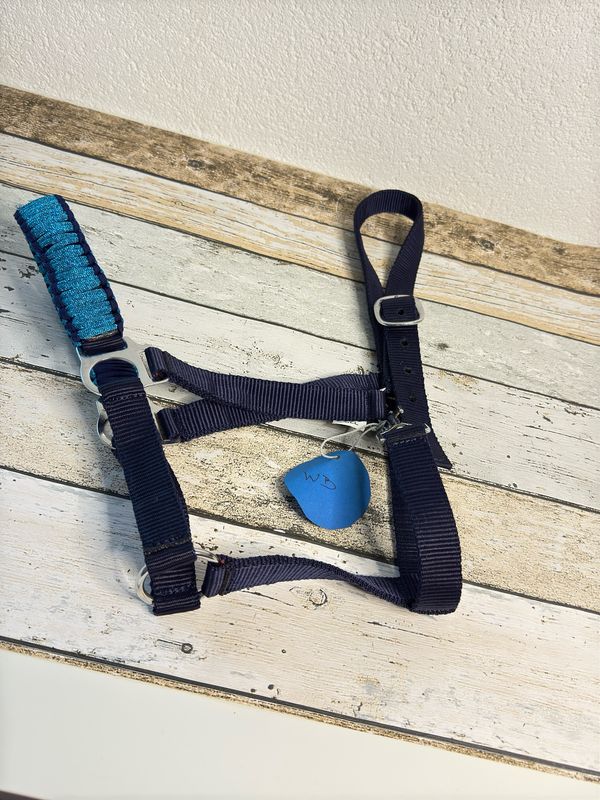 Einzigartiges Halfter aus Gurtband in Größe „Warmblut“ – Nasenteil handgeflochten mit türkisfarbenen Glitzer-Paracord, robust und stilvoll, perfekt für anspruchsvolle Pferdeliebhaber