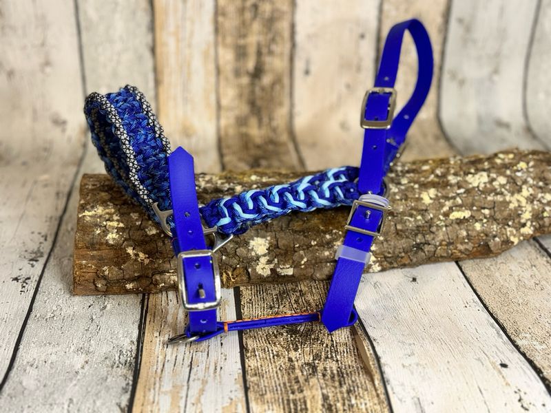 Halfter „Back Road“ aus Biothane und Paracord