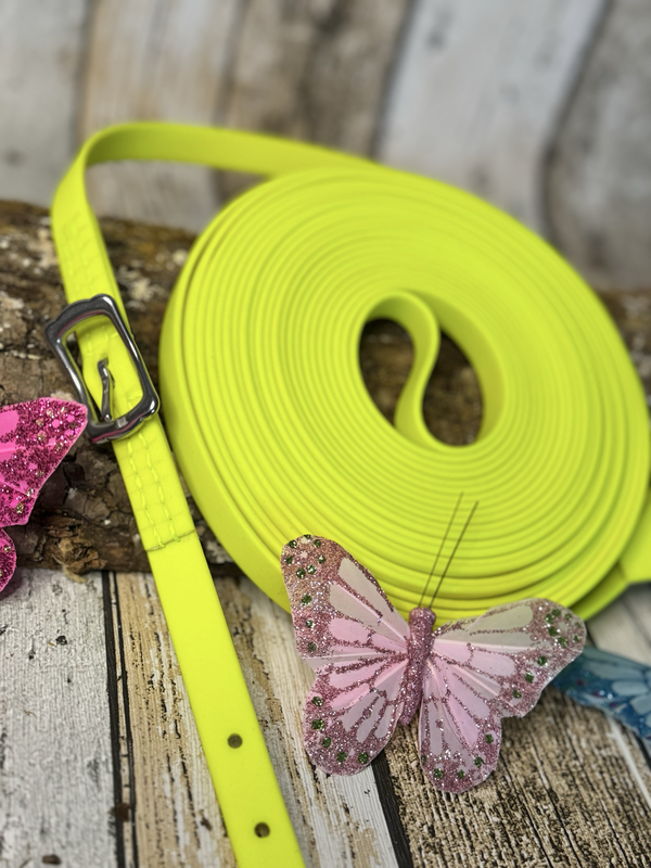 Hochwertige 16 mm Biothane Longe – wählbar mit Karabiner oder Schnalle – verschiedene Farben &amp; Längen