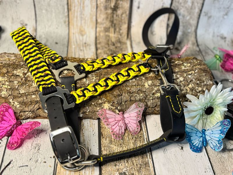 Halfter „Trilobite “ aus Biothane und Paracord