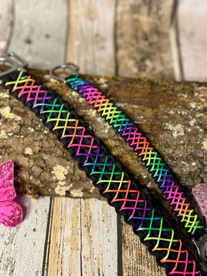 Halfter „Back Road Rainbow“ aus Biothane und Paracord