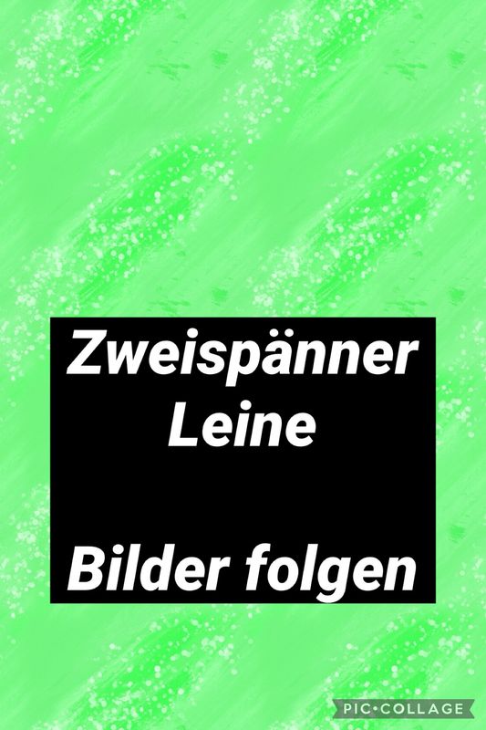 Fahrleine Zweispänner Biothane - Premium – Handgenäht,