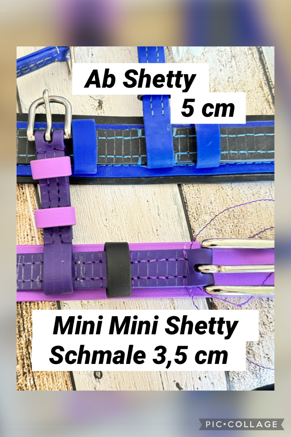 🐴 Brustblatt Basic für Shetty &amp; Pony bis 120 cm – Maßanfertigung &amp; individuelle Farben 🐴
