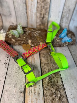 Halfter aus Gurtband und Paracord
