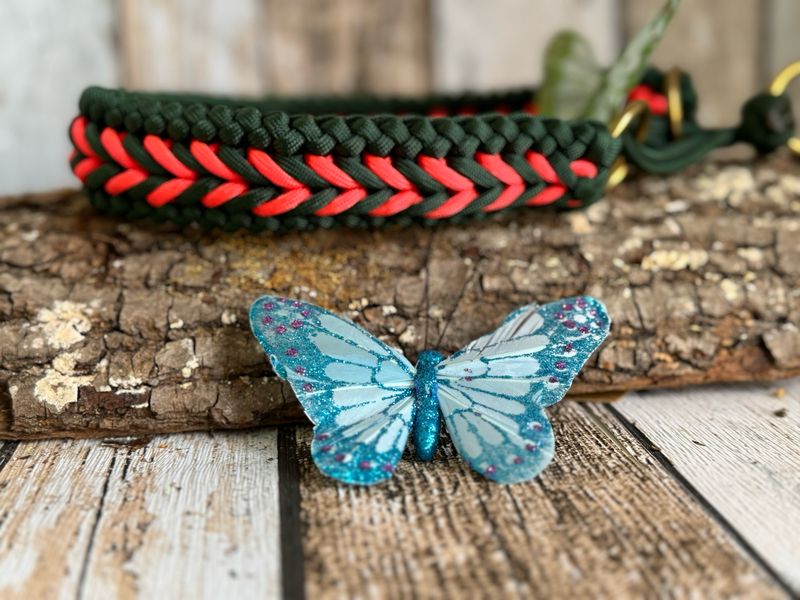 Sofortkauf: Halsband „Benno‘s Waldfeuer“ - handgefertigtes Unikat - Tannengrün/neon Orange- Made in Germany Sofortkauf: Halsband „Benno‘s Waldfeuer“ - handgefertigtes Unikat - Tannengrün/neon Orange- Made in Germany