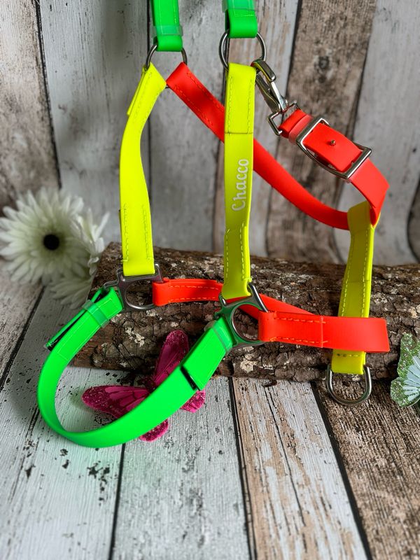 Sicherheitshalfter/Weidehalfter in Neonfarben mit Klettverschluss
