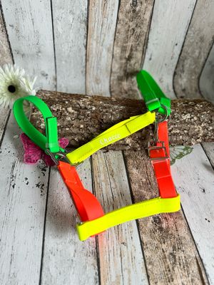 Sicherheitshalfter/Weidehalfter in Neonfarben mit Klettverschluss