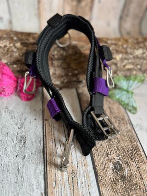 Testphase: Gurt für empfindliche Pferde Testphase: Gurt für empfindliche Pferde