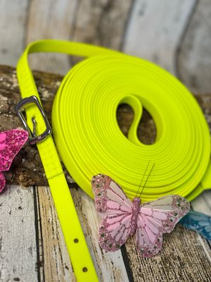 Hochwertige 16 mm Biothane Longe/Kurzlonge – wählbar mit Karabiner oder Schnalle – verschiedene Farben &amp; Längen