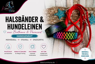 Hundezubehör 