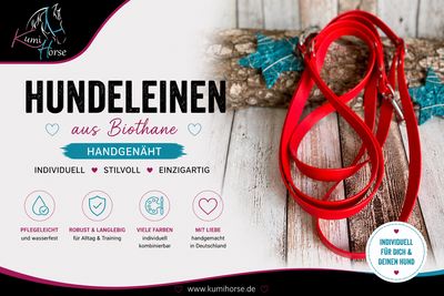 Hundeleinen