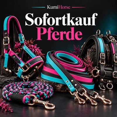 Sofortkauf Pferde