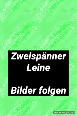 Fahrleine Zweispänner Biothane - Basic – Handgenäht,